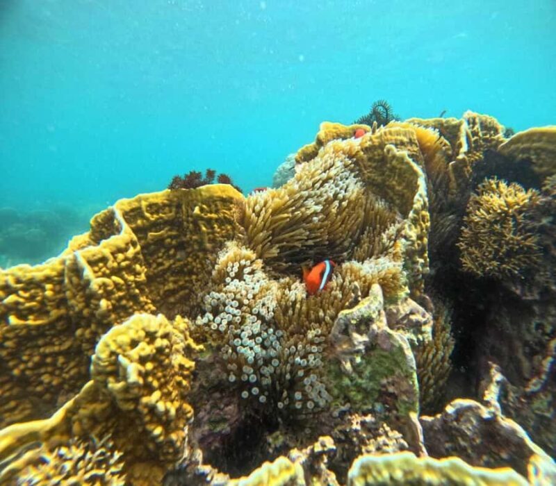 Lombok: Gili Rengit, Gili Gede, and Gili Layar Island Tour - A Deep Dive into the Gili Islands Tour