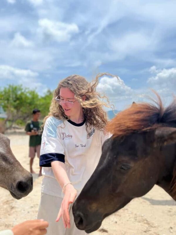 Lombok : Gili Snorkeling Trip (Goleng, Asahan, Layar) - FAQs  