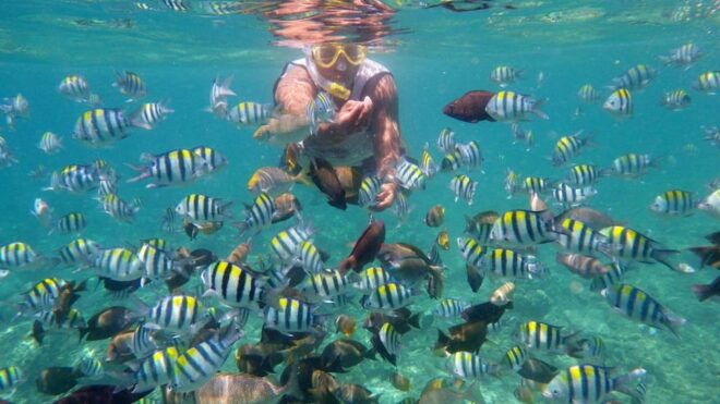 Lombok: Gili Trawangan, Meno, Air Snorkeling Trip - Snorkeling Highlights