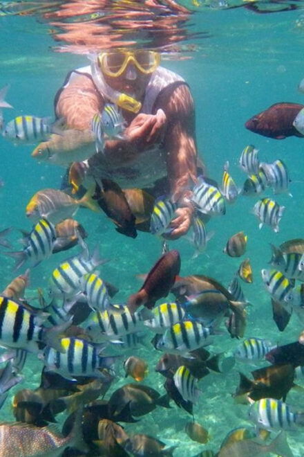Lombok: Gili Trawangan, Meno, Air Snorkeling Trip - Important Information