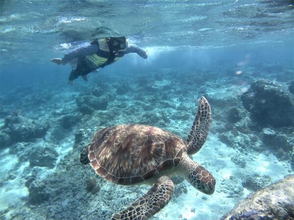 Lombok: Gili Trawangan, Meno, Air Snorkeling Trip - Questions You May Have