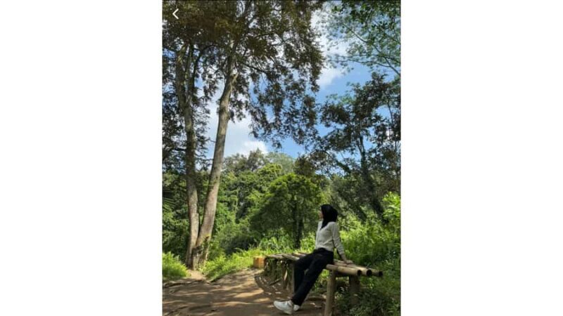 Lombok: Gosh Villa Viewpoint & Benang Stokel Waterfall Tour - Good To Know