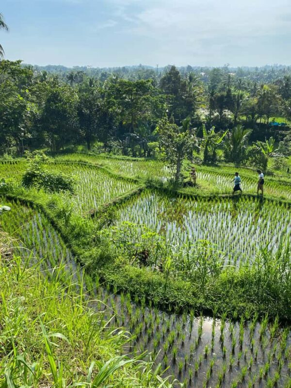Lombok Hidden Gem - Who Will Love This Tour?