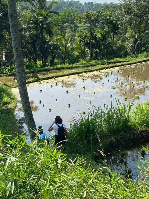 Lombok Hidden Gem - Final Thoughts