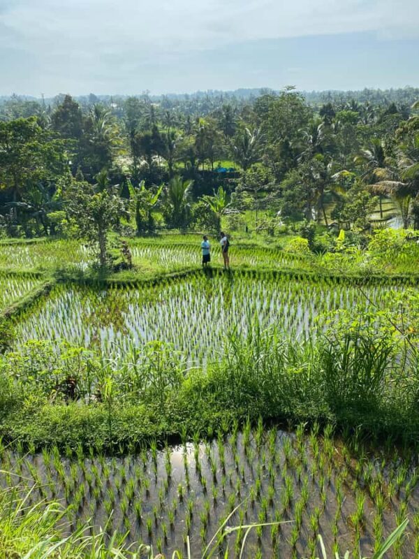 Lombok Hidden Gem - Who Will Enjoy This Tour?