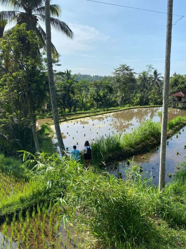 Lombok Hidden Gem - The Practical Side: What to Know Before You Go