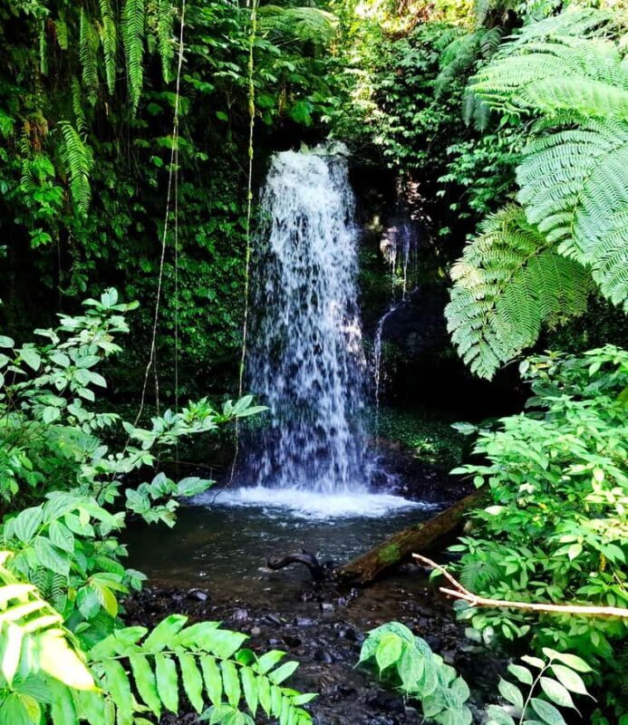 Lombok Hidden Gem: Tiu Sekeper  Lomboks Highest Waterfall - FAQ