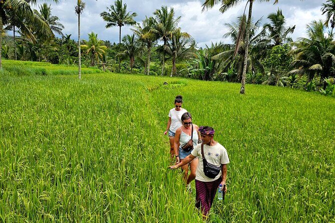 Lombok Hidden Waterfalls Walk, Rice Fields & Weaving Village - Exploring the Itinerary in Detail