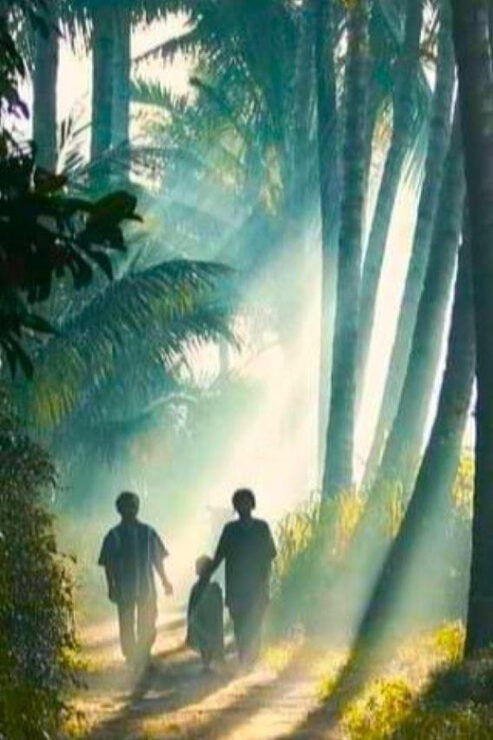 Lombok : Highlights Tour With Local Traditional Culture - Cultural Insights