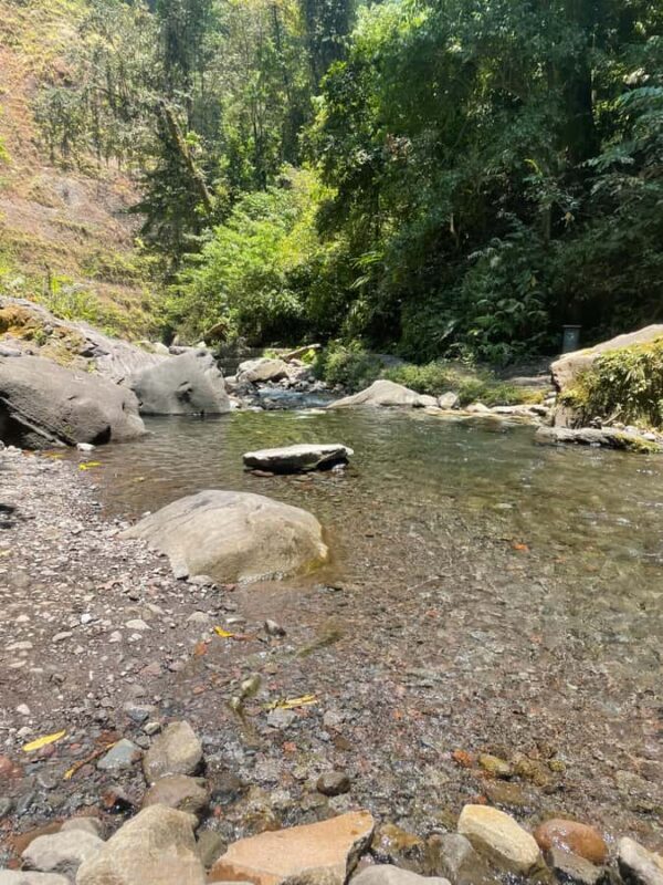 Lombok : hiking- rice terrace & waterfalls tour - Practical Tips for Your Tour