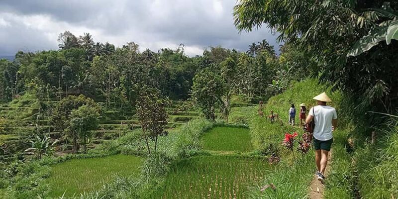 Lombok: Hiking Tour to Tete Batu Village - The Journey and What to Expect