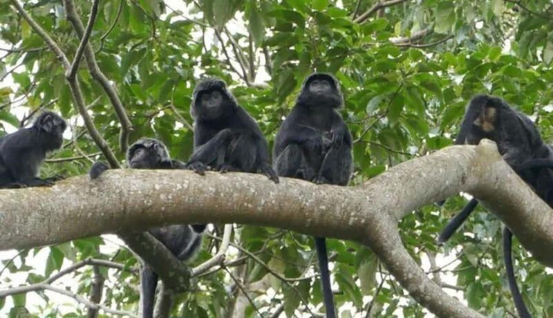 Lombok: Hiking Tour to Tete Batu Village - A Deep Dive into the Tete Batu Hiking Tour