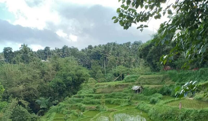 Lombok: Hiking Tour to Tete Batu Village - Who Would Love This Tour?