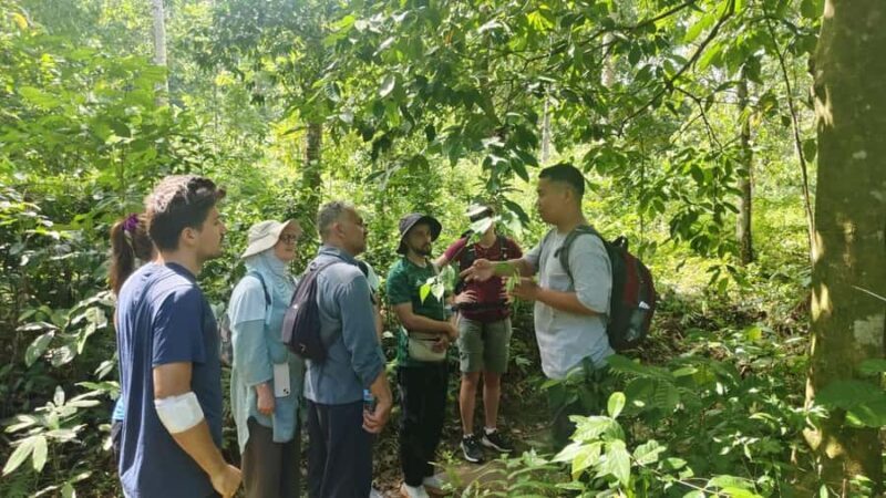 Lombok: Jungle Hike, Food Foraging, and Cooking Class - Why This Tour Is a Great Choice