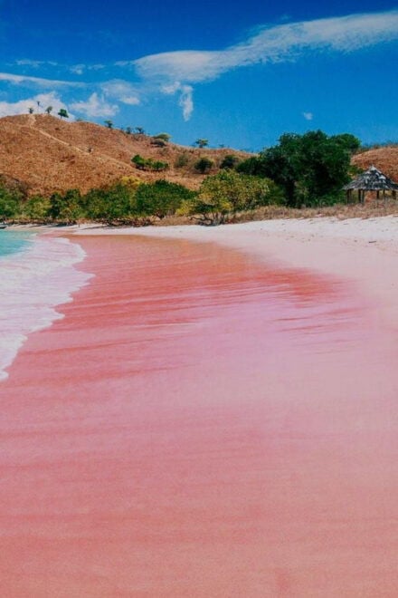 Lombok: Komodo Island 4-Day Boat Trip With Food and Board - Participant Guidelines and Restrictions