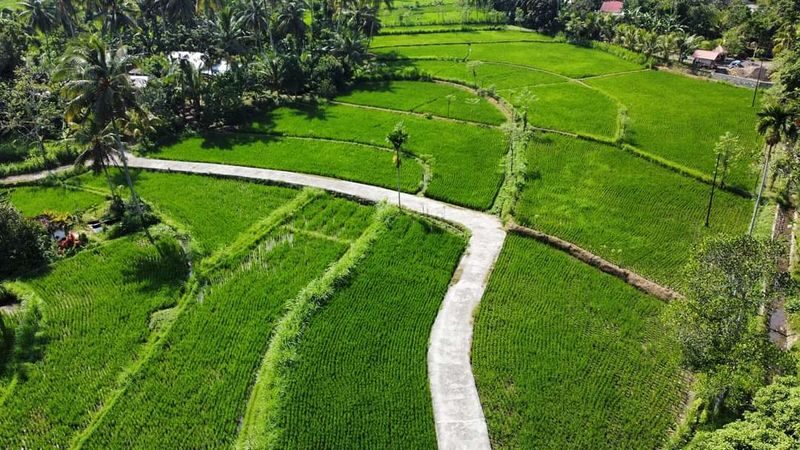 Lombok Local Village Tour & Workshop | Multilingual Guide - A day built around Bonjeruk’s daily life