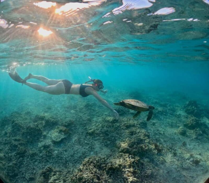 Lombok: Mataram City, Pusuk Monkey Forest & Beach Tour - Detailed Breakdown of the Itinerary