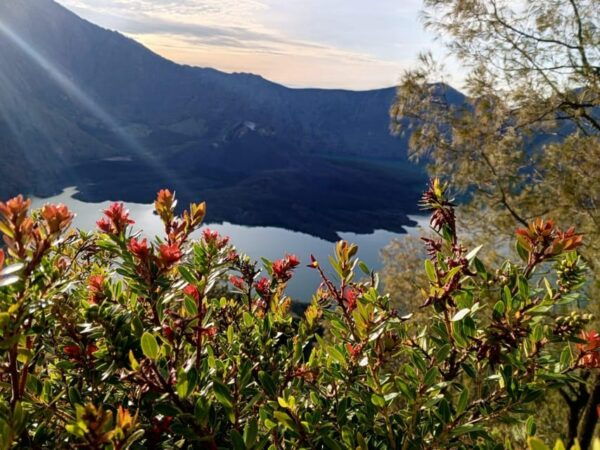 Lombok: Mount Rinjani 3D/2N Hiking Full Experience - Questions You May Have