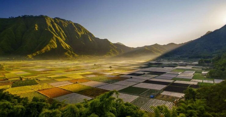Lombok: North Lombok Exploration Tour (incl. Lunch) - Good To Know