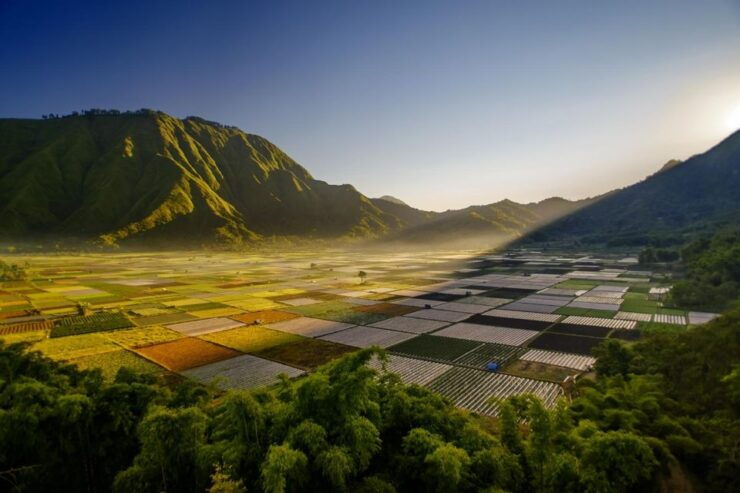 Lombok: North Lombok Exploration Tour (incl. Lunch) - Tour Booking Details
