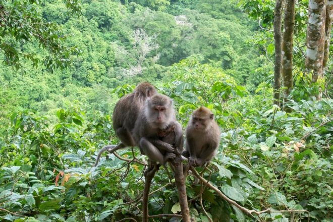 Lombok: North Lombok Exploration Tour (incl. Lunch) - Exploration Tour Itinerary
