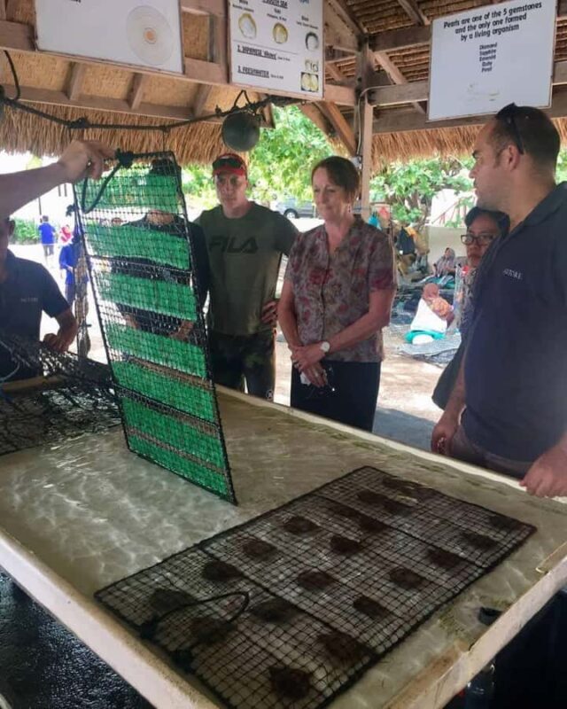 Lombok: Pearl Farm Tour and Gili Air Day Trip - Gili Air: The Perfect Island Chill