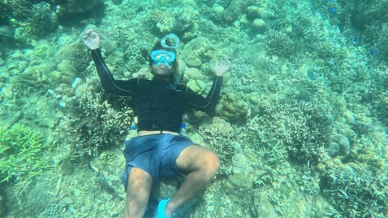 Lombok: Pink Beach and Snorkeling Trip With Lunch - Who Will Love This Tour?