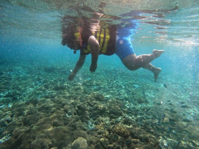 Lombok Pink Beach Boat Trip : Snorkeling & Relaxing - Group and Private Options