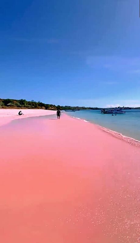 Lombok: Pink Beach & Exclusive Snorkeling Gili Petelu - An In-Depth Look at the Tour Experience