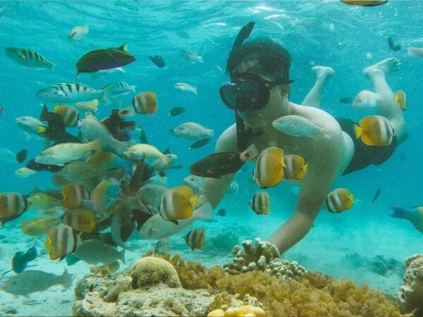 Lombok: Pink Beach Full-Day Private Tour GoPro Included - Common Questions