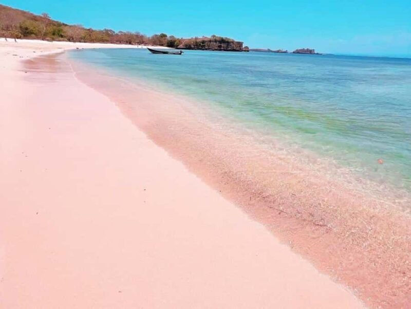 Lombok: Pink Beach Snorkeling and Picnic Tour Full Day - Good To Know