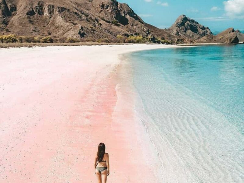 Lombok: Pink Beach Snorkeling and Picnic Tour Full Day - Good To Know