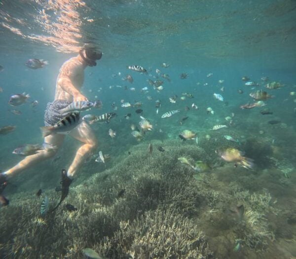 Lombok: Pink Beach Snorkeling Trip Include Lunch - Inclusions and Exclusions