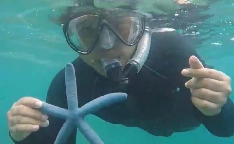 Lombok : Pink Beach Tour Free Gopro Documentation - Exploring the Pink Beach Tour in Lombok: A Balanced Look at a Unique Island Experience