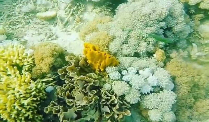 Lombok : Pink Beach Tour Free Gopro Documentation - What Reviewers Say