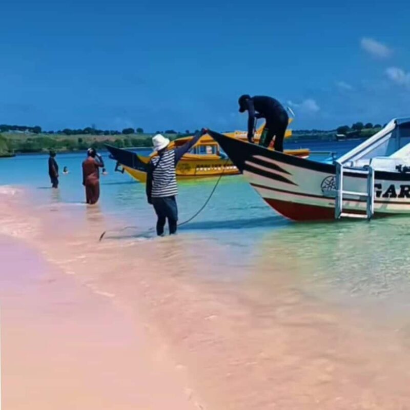 Lombok : Pink Beach Tour, Secret Gili and Snorkeling Tour - Realistic Expectations and Tips for Your Day