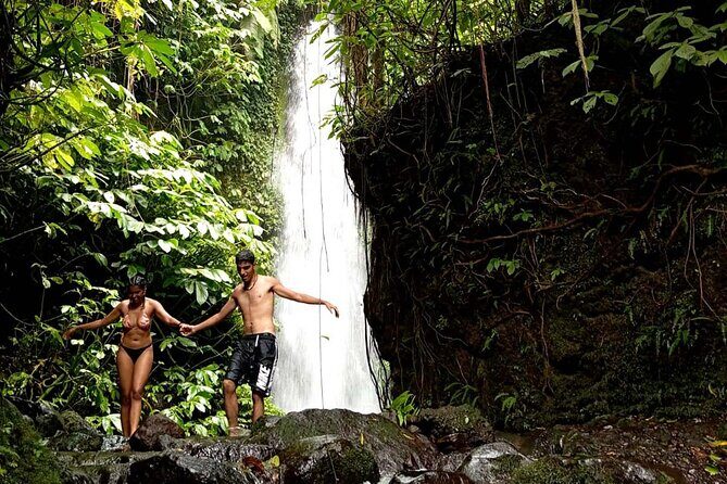 Lombok Private Car Hire with Driver Customizable Tour - Exploring the Lombok Private Car Tour: What to Expect