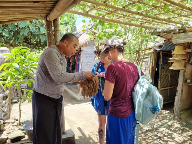 Lombok: Private Customizable Tour with Driver-Guide - Transportation & Comfort