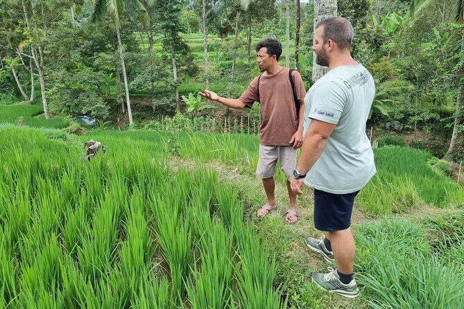 Lombok Private Customize Tour - The Experience: Authentic, Fun, and Value-Packed