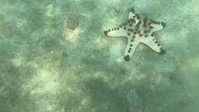 Lombok: Private day trip snorkeling in Secret Island - Pricing and Value: Is It Worth It?