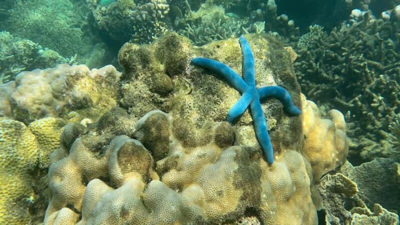 Lombok: Private day trip snorkeling in Secret Island - Is This Tour Worth the Price?