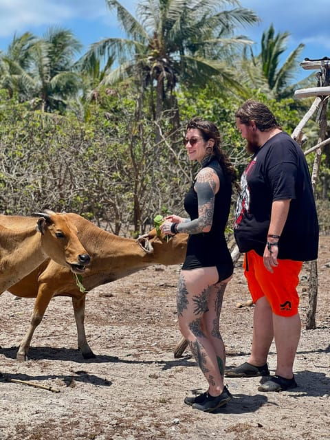 Lombok: Private Day Trip Snorkeling in Secret Island - Important Information