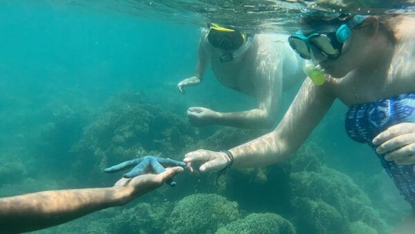 Lombok: Private Day Trip Snorkeling in Secret Island - Booking and Cancellation Policy