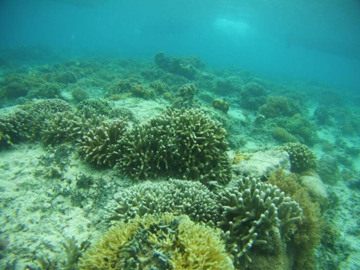 Lombok: Private Island Tour by Boat With Snorkeling - Tour Highlights and Inclusions