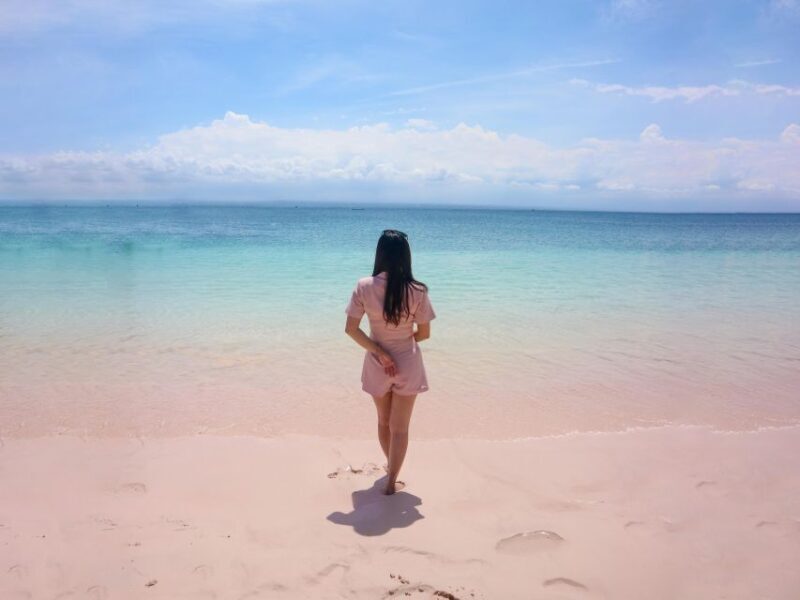 Lombok: Private Pink Beach & Gili Snorkeling Tour with GoPro - The Sum Up