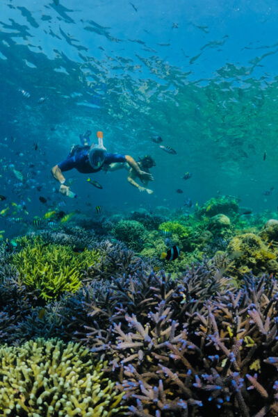 Lombok: Private Snorkeling Gili Kondo, Gili Bidara, Gili Kapal. - Nearby Attractions