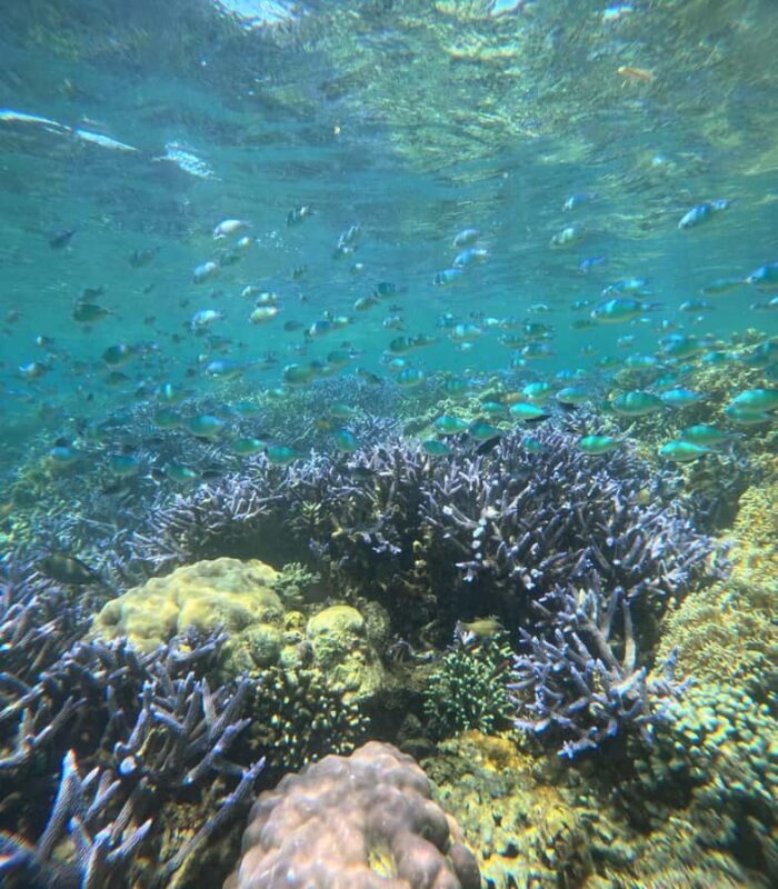 Lombok: Private Snorkeling Trip toGili Asahan, Rengit &Gilis - Practical Tips for a Smooth Experience