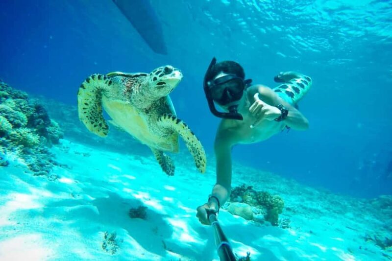 Lombok: Private Snorkeling,Gili Trawangan,Gili Meno,Gili Air - Authentic Insights from Reviews