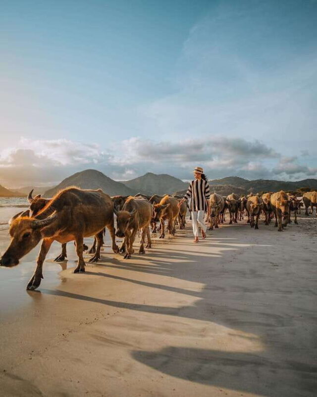 Lombok Private Tour: Surfing, Explore South Beach, & Sunset - Authentic Feedback from Travelers