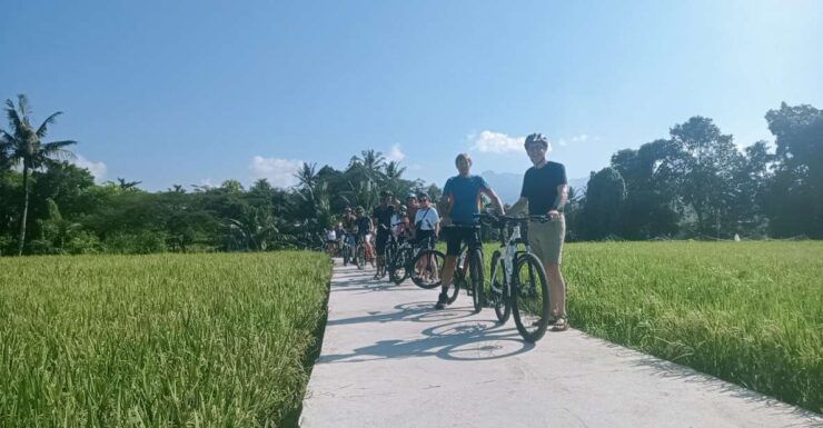 Lombok : Rice Field, Lingsar Temple, Fun Ride - Activity Details